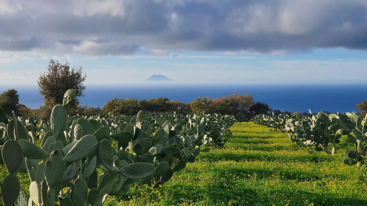Villa Maria Elena Charme B&B Capo Vaticano Esterno foto